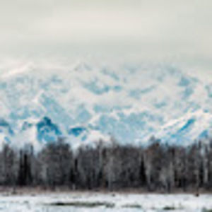 Meet your Posher, Caryn